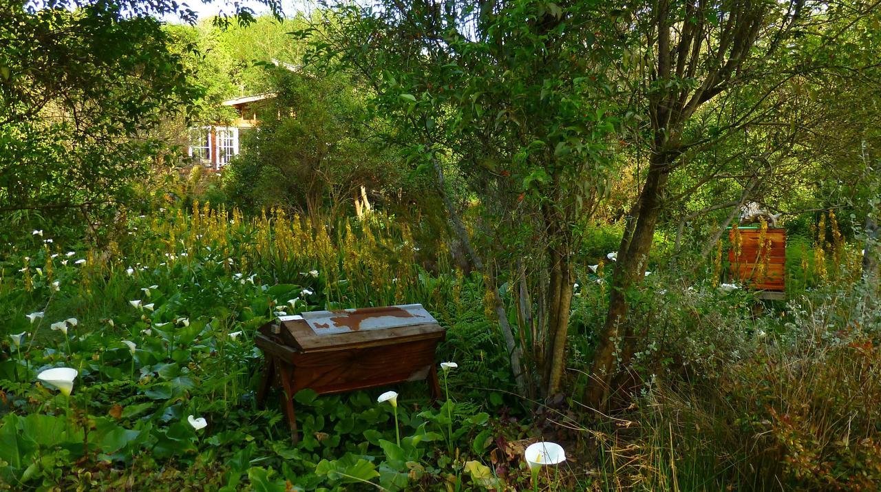 Boutique Vintage Forest Cabin สตอร์มริเวอร์ ภายนอก รูปภาพ